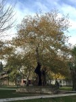 2015-11-25-fatih mosque tree1
